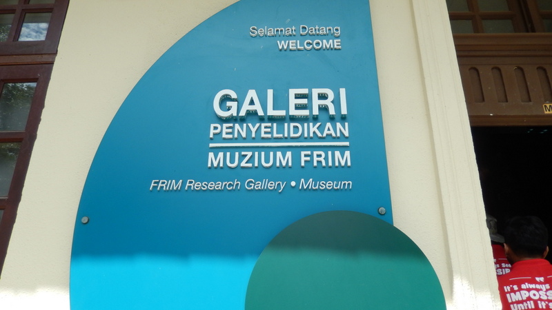 0809 DSCN0741
